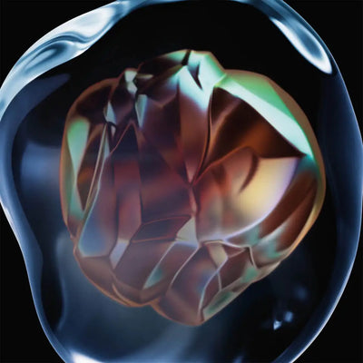 L'Oréal Professionnel Serié Expert Ultimate Metal Detox Routine Bundle