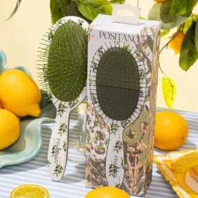 Framar Limoncello Detangle Brush Amalfi, Positano, Capri