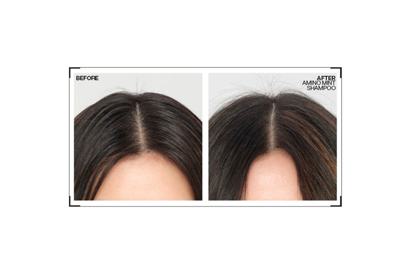 Redken - Amino Mint Shampoo 300ML