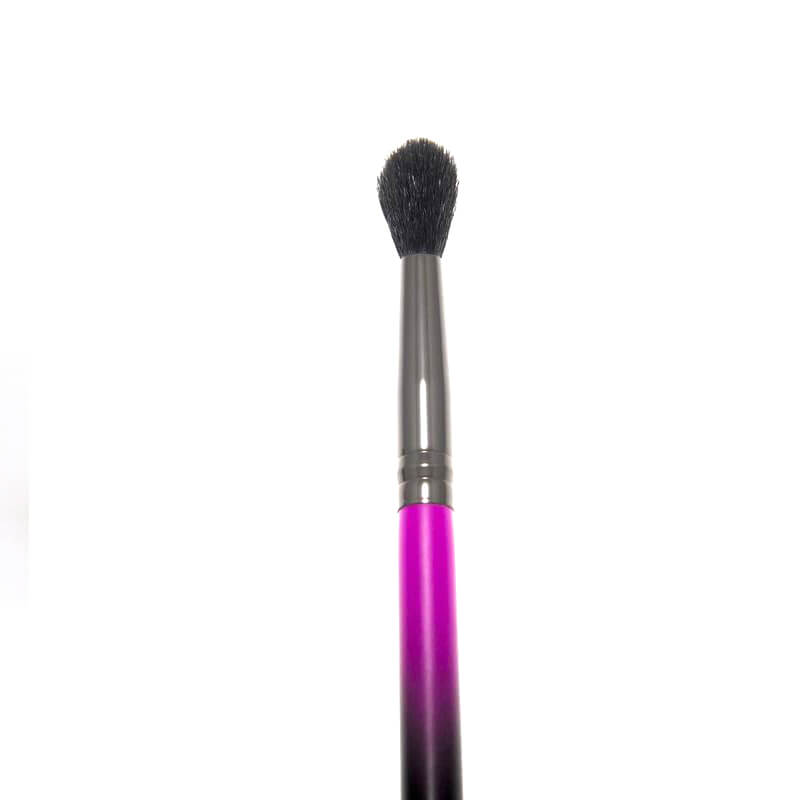 Rebeluna R20 Ultimate Blender